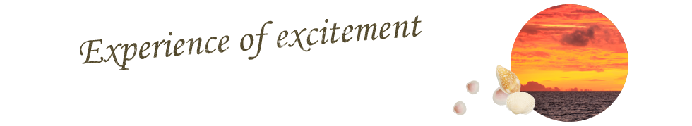 Experience of excitement